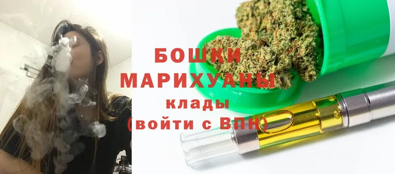 Каннабис OG Kush  Высоцк 